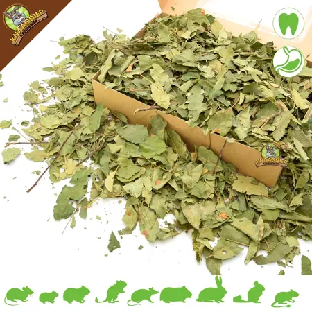 Knaagdier Kruidenier Dried Apple Tree Leaves Coarse for Rodents & Rabbits!