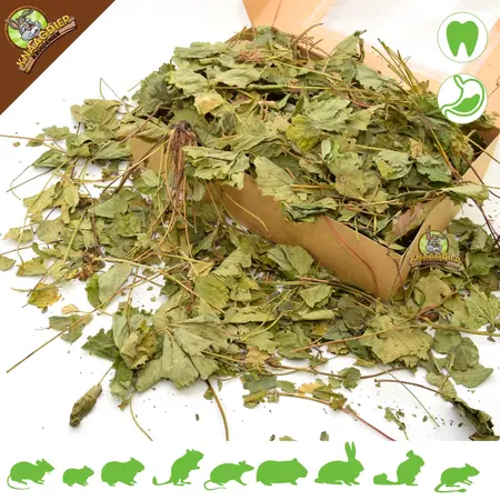 Knaagdier Kruidenier Dried Strawberry Leaves for Rodents & Rabbits