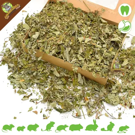 Knaagdier Kruidenier Dried Blackberry Leaves Coarse for Rodents & Rabbits!