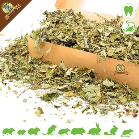 Knaagdier Kruidenier Feuilles de mûrier séchées, granuleuses, pour rongeurs et lapins !