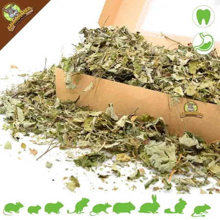 Knaagdier Kruidenier Feuilles de mûrier séchées, granuleuses, pour rongeurs et lapins !
