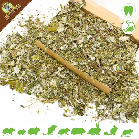 Knaagdier Kruidenier Feuilles de framboisier séchées pour rongeurs et lapins !