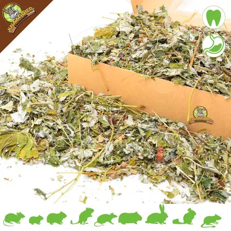 Knaagdier Kruidenier Feuilles de framboisier séchées pour rongeurs et lapins !