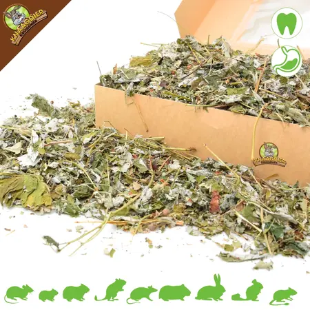 Knaagdier Kruidenier Dried Raspberry Leaves for Rodents & Rabbits!