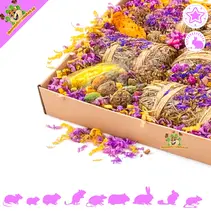 Wielkanocny pakiet Sniffy Box