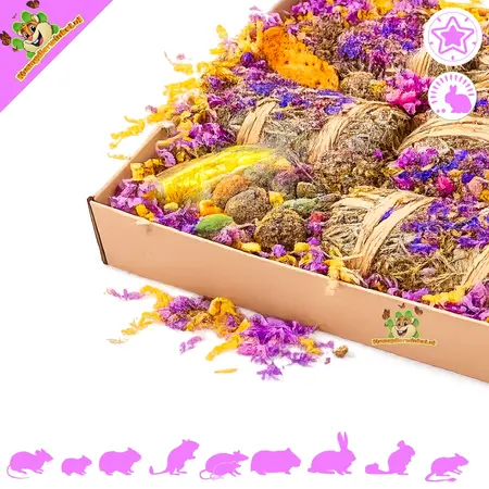 Knaagdierwinkel® Snuffelbox Pasen Paaspakket