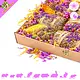 Knaagdierwinkel® Caja de olfateo de Pascua Paquete de Pascua
