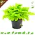 Knaagdier Kruidenier Fresh Organic Brunel Plant