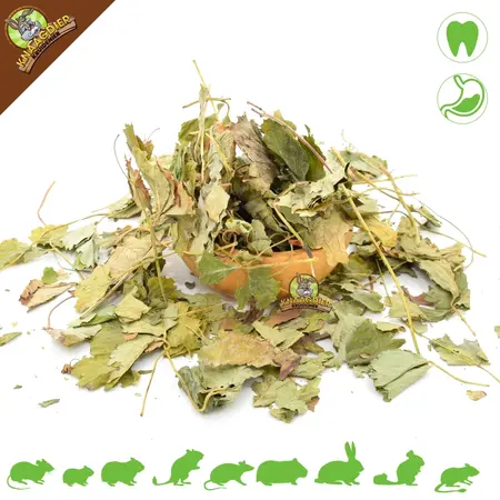 Knaagdier Kruidenier Dried Strawberry Leaves for Rodents & Rabbits