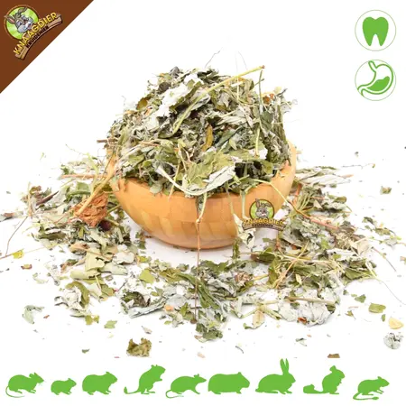 Knaagdier Kruidenier Feuilles de framboisier séchées pour rongeurs et lapins !