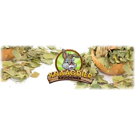 Knaagdier Kruidenier Dried Birch Leaves Coarse for Rodents & Rabbits!