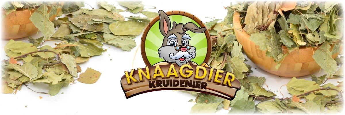 Suszone liście brzozy, zioła i liście dla gryzoni i królików