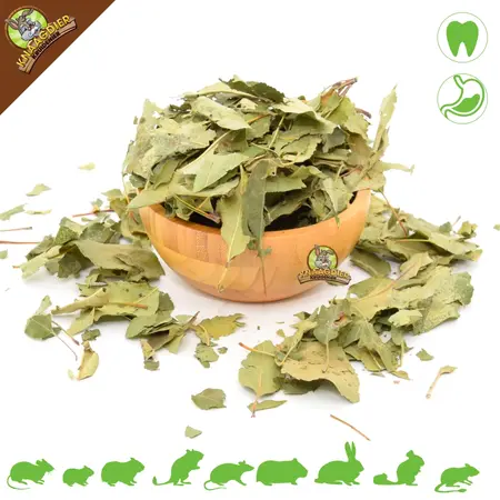 Knaagdier Kruidenier Feuilles de pommier séchées, granuleuses, pour rongeurs et lapins !