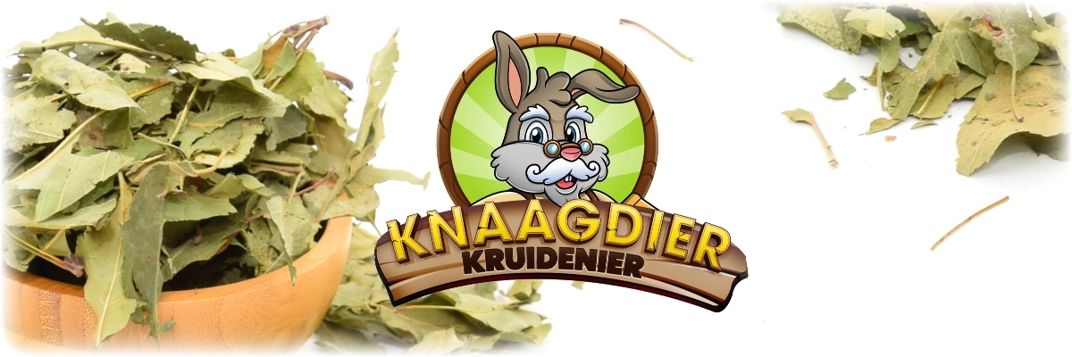 Getrocknete Apfelbaumblätter