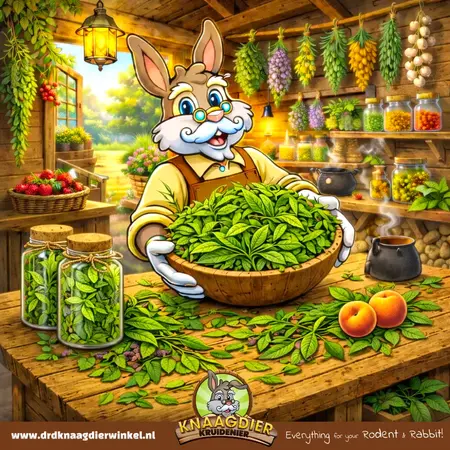 Knaagdier Kruidenier Dried Peach Leaves Coarse