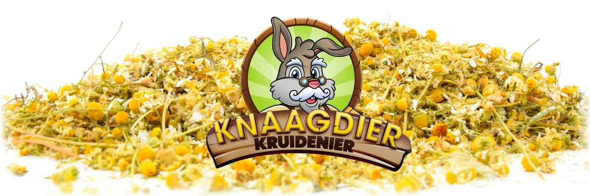 Gedroogde Kamillebloemen knaagdier en konijnen kruiden en bloemen