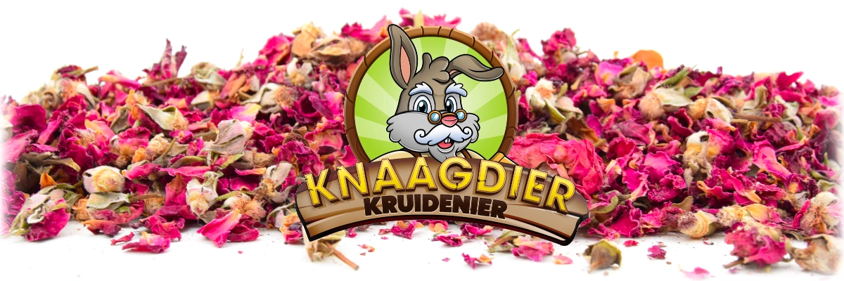 Dried Red Rose Flowers rodent and rabbit herbs and flowers