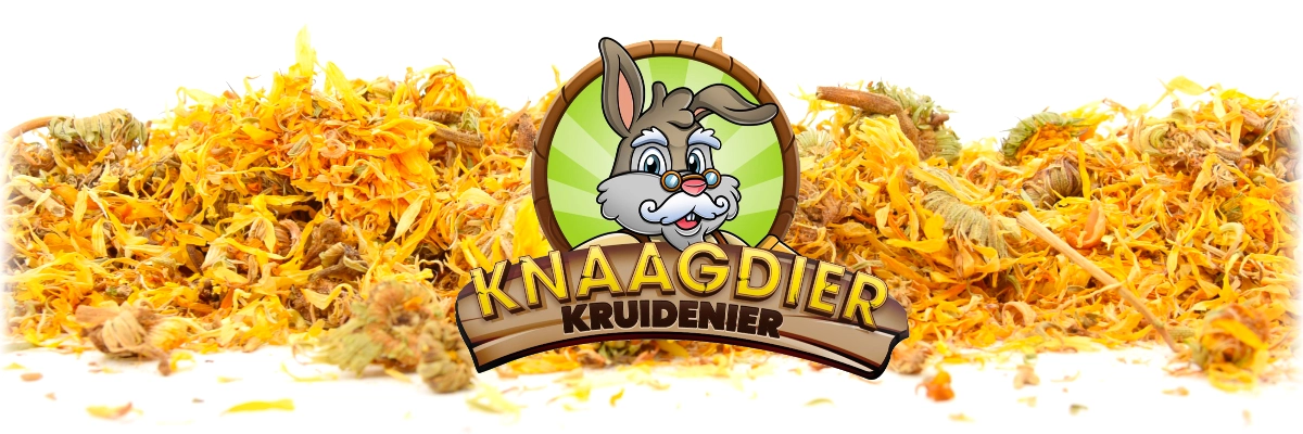 Dried Marigold Flowers rodent and rabbit herbs and flowers