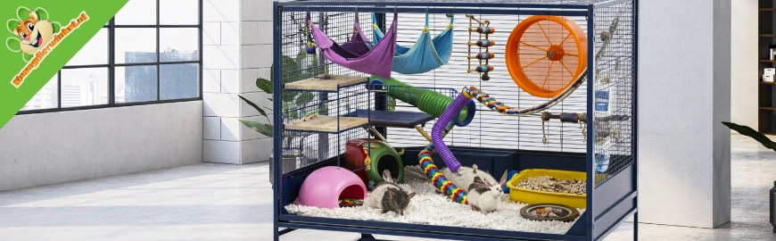 Waarom de Savic Suite Royale een slimme keuze is voor ratten