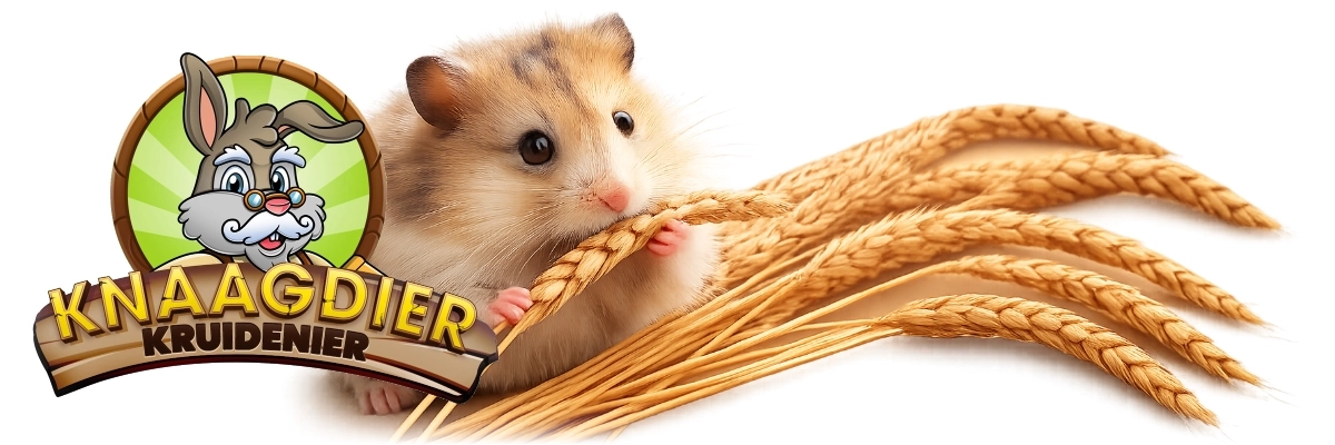 knaagdier kruidenier spelt aren oogst hamsterscaping