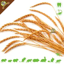 Spelt Aren Oogst 400 gram