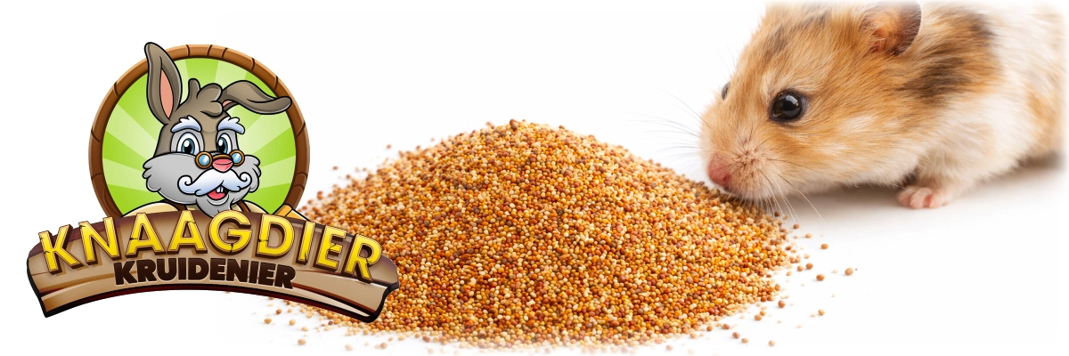 knaagdier kruidenier gierst zaden mix hamster