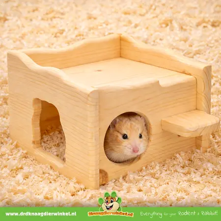 Hamster House Ruin 17 cm