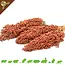 Knaagdier Kruidenier Dari Kolf Sorghum Oogst Zwart of Rood 100 gram