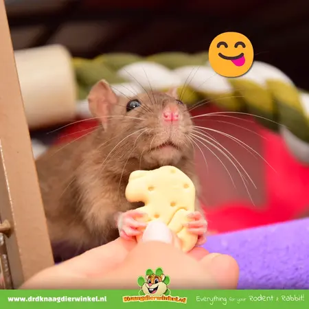 Knaagdierwinkel® Biscuits animaux à la vanille 400 grammes