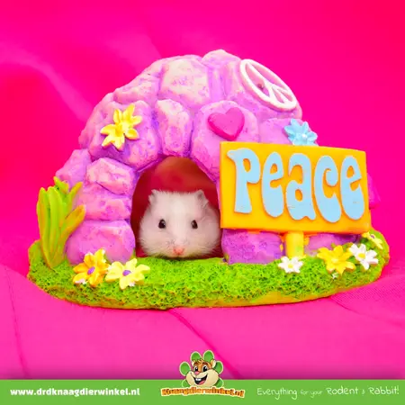 Purple Peace Rock Cave 13 cm for mice and small dwarf hamsters
