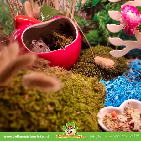 Cerámica Casa Manzana Grande 14 cm