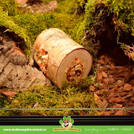 JR Farm Wooden Hanging Nibble Roll Carrot & Coconut