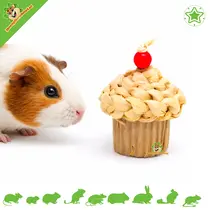 Rodent Cupcake 14 cm