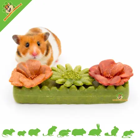 Ferplast Fleurs Veggie Bites – Friandises florales comestibles pour rongeurs et lapins