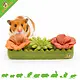 Ferplast Flores comestibles: un snack floral para roedores y conejos.