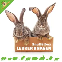 Schnüffelbox, leckeres Kauholz