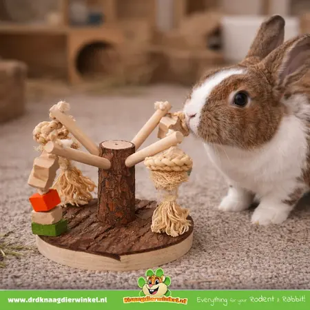 Arbre à jeux pour lapins et rongeurs avec jouets suspendus 15 x 15 x 13 cm