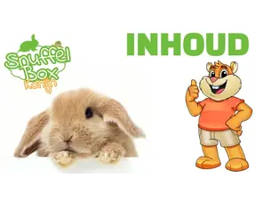 Contenu de la boîte à fouiller pour lapins 