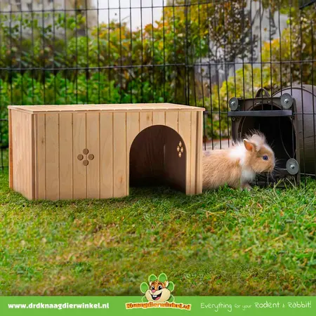 Rabbit House SIN Maxi 52 cm