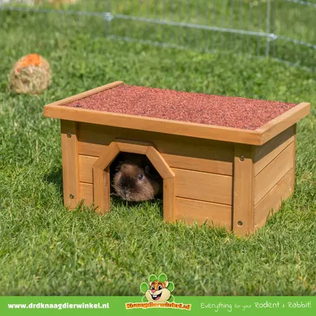 Trixie Casita de pino para conejos de exterior con techo plano de 40 cm