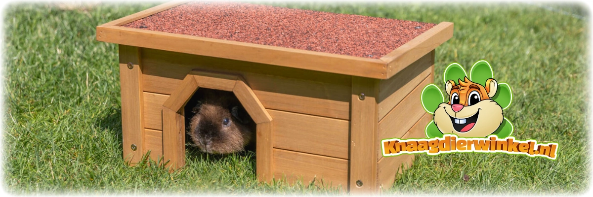 rabbit house for outside on the grass