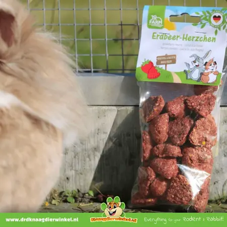 JR Farm Corazones de fresa
