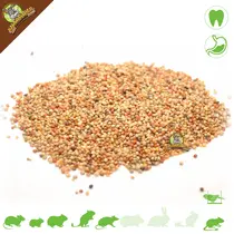 Gierst Zaden Mix 200 gram