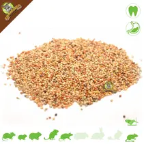 Hirse-Samenmischung 200 Gramm