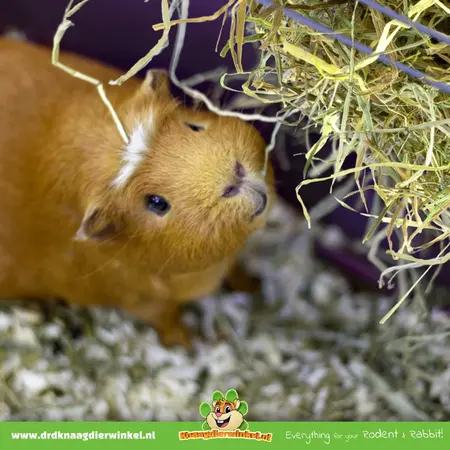 Vitakraft Vitakraft Vita Verde Alpine Meadow Heno para roedores y conejos