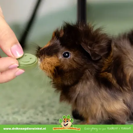 Vitakraft Sunny's para roedores y conejos