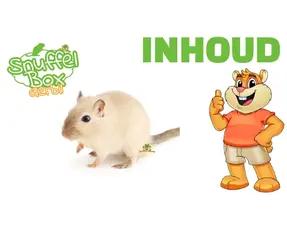 Inhoud Snuffelbox Gerbil