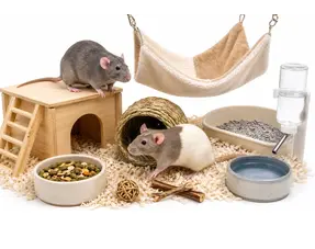What do you need for rats?