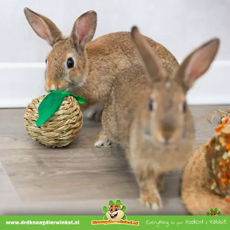 Trixie Jouet Herbe Rongeur & Lapin 7 cm