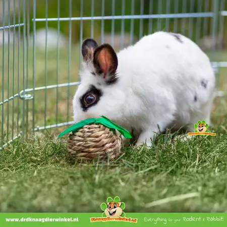 Trixie Jouet Herbe Rongeur & Lapin 7 cm